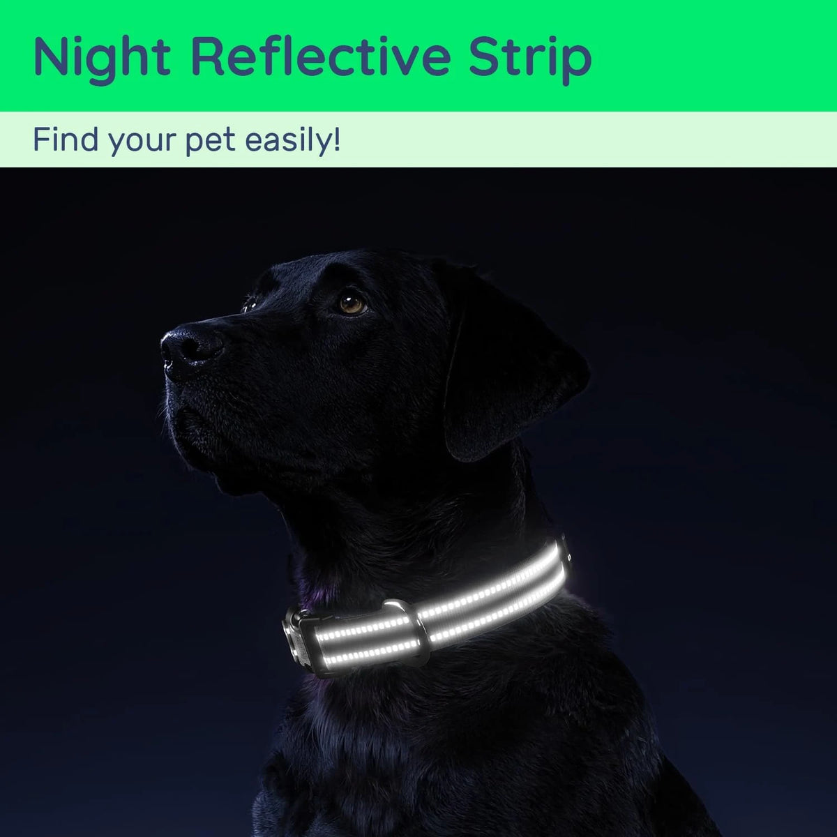 Waterproof Dog Collar with AirTag Holder - Reflective, Padded & QR Code ID